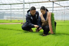 北湖这个“95后”新农人：会开10种农机，种4000多亩田