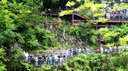 春日正盛、风光正好，张家界国家森林公园旅游热度持续升温