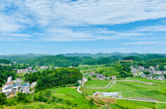 字字含情·第21期｜黄文渊：腊尔山的春