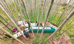 视觉丨“竹园雅韵”书画联谊交流笔会