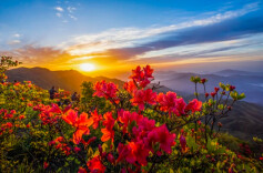 2026“我的寒假”主题征文投稿：墨香里的年味