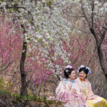 Museum events, spring outing trend fuel Qingming tourism