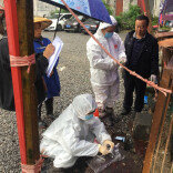 春季，动物疫病易发，重点在→