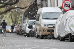 2026杨柳絮预警地图出炉 这份防护指南请收好