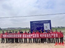 开局八好·乘势而上｜“存粮如存金，有粮不担心”  衡东县计划建成30万亩“国家储备粮源基地”