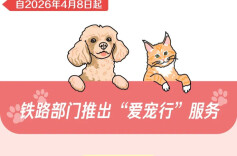 121座高铁站，可托运宠物！