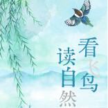 《看飞鸟 读自然》开栏，以飞鸟为眼，为您打开一扇通往桃源生态秘境之窗