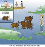 汛期来袭，如何远离血吸虫病？