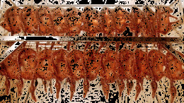 常德限定款！这只鸭，凭什么让台湾同胞也流口水？