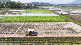 图集 | 春耕画卷