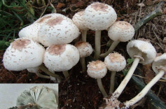 鼎城去年发生30多起！记牢“三不原则”，别拿生命赌运气