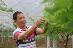 特色产业拓宽致富路