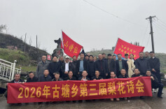 涟源古塘乡：梨花为媒赋美乡村 文旅融合激活振兴