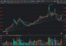 油价震荡下的湘股黑马，为何从石油跨界半导体