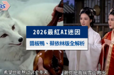 芙蓉国评论 | “你是否在雪山救过一只狐狸？”这句魔性拷问，为何让两岸网友一起“上头”