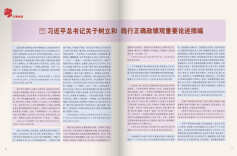 习近平总书记关于树立和践行正确政绩观重要论述摘编