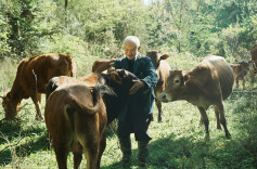 生态养牛助增收