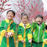 春天在哪里④｜桃林里藏着图书角！这所小学把阅读种进春光里