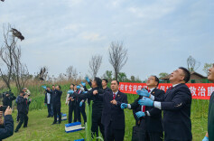 岳阳放归珍禽倡导全民保护@湖南日报