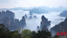 张家界百龙天梯春日云海如水墨画卷