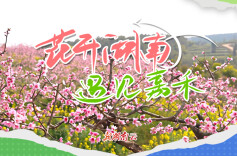 花开湖南⑧｜遇见嘉禾：满目桃云入画来