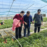 这支“春耕技术队”，到田间地头“传经送宝”~