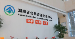 辛小湘丨用“制度+技术”守护公共资源交易公平