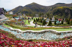 Flower-themed tourism boosts villagers' income in China's Shandong
