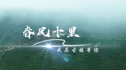 春风十里，我在古楼等你