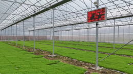 炎陵春耕尽显“科技范”