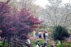 长沙这一网红景点，即将不再免费！