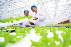 理论·新域 | 优化高职教育举措 赋能农业强省建设