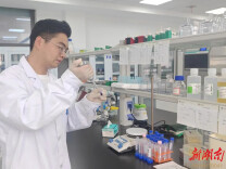 再也不怕“以次充好”！益阳医专博士团队为安化多花黄精打造505个点位“身份证”