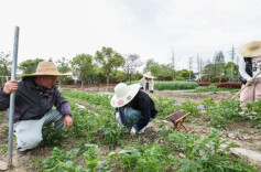 Young entrepreneurs boost rural revitalization in Jiaxing, China's Zhejiang