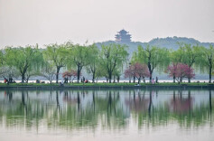 西湖连续一周撒7吨漂白粉？真相是……