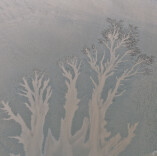 潮汐作画，大地存档：一组滩涂的影像备忘录