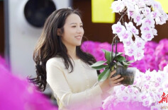 视频|喜欢花的人，喜欢的是整个浪漫世界