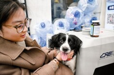 好评中国丨“毛孩子”搭高铁：让陪伴不再因距离而缺席