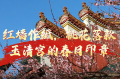 红墙作纸，桃花落款 | 玉清宫的春日印章