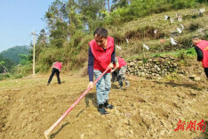 洞口县罗溪国有林场开展助农志愿服务实践活动