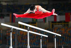 衡阳伢子刘洋体操世界杯夺1金1铜