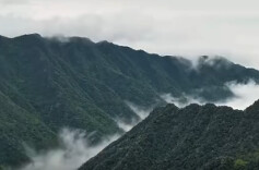 视频丨探秘“古南岳”“寻宝”回龙山