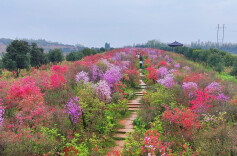 2026“我的寒假”主题征文投稿：书写寒假成长故事