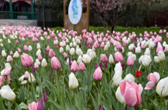 2026“我的寒假”主题征文投稿：我的寒假是团圆是温暖