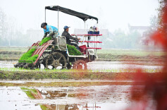 图集 | 机械化助力春耕