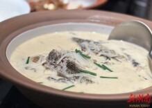 春来鲫鱼肥又鲜