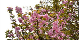 在雨湖，来一场春日Color walk！