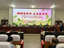 城步苗族自治县：播撒花种子 点亮美育光