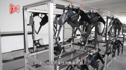 “湘”遇AI机器人②｜穿上“机械裤”，秒变“行走超人”！揭秘优龙机器人的外骨骼技术
