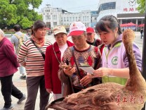 让“飞羽精灵”自由翱翔，衡阳市开展第45届“爱鸟周”宣传活动